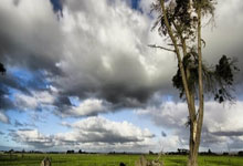 雷竞技官网：无竞争对手，有资金支持，2034世界杯落户沙特环球时报.