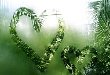 [国际足球]内马尔告别新月 有望回归桑托斯.